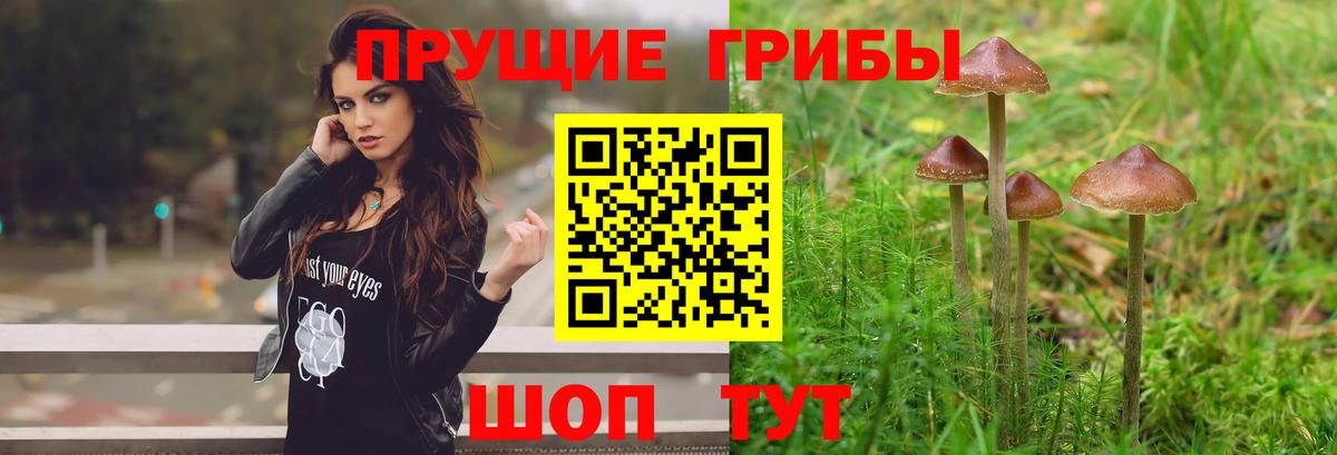 Галлюциногенные грибы ЛСД Троицк