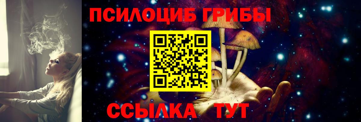 Троицк  Галлюциногенные грибы Magic Shrooms  Вход с VPN 
